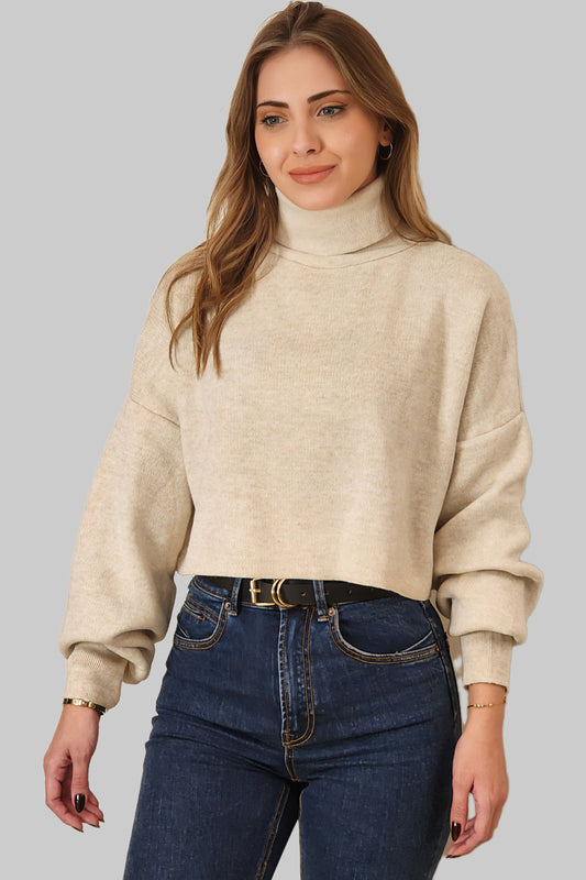 Nigh-Neck Beige Sweater